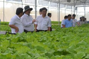 Những đóng góp hiệu quả của tổ chức hội nông dân Đăng Nhập Chính Thức OK9 trong Sảnh Cá Cược Thể Thao Uy Tín Và Đẳng Cấp Nhất 2026 Oki9 đăng ký nhanh chóng