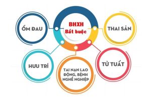 Thực hiện chỉ tiêu phát triển đối tượng tham gia BHXH bắt buộc năm 2025 trên địa bàn tỉnh Đăng Nhập Chính Thức OK9