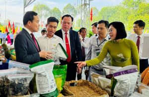 Định Quán đạt chuẩn huyện Oki9 đăng ký nhanh chóng nâng cao năm 2023