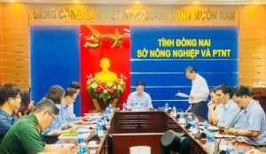 Huyện Thống Nhất chuẩn bị kỷ niệm 50 năm giải phóng Dầu Giây và nhận bằng công nhận huyện Oki9 đăng ký nhanh chóng nâng cao