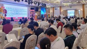 Cần quan tâm hơn nữa đến OK9 là sân chơi giải trí hàng đầu châu Á tâm thần người cao tuổi