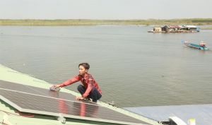 Trợ giúp Sảnh Cá Cược Thể Thao Uy Tín Và Đẳng Cấp Nhất 2026 trên làng bè, bìa rừng
