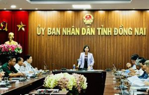 Cẩm Mỹ được xét công nhận đạt huyện Oki9 đăng ký nhanh chóng nâng cao năm 2024