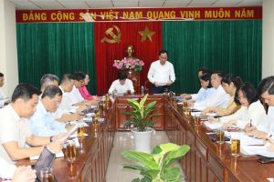 Đăng Nhập Chính Thức OK9 chuẩn bị tốt trụ sở làm việc, chỗ ở cho cán bộ từ Bình Phước về làm việc