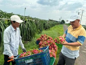 Nhân rộng chuỗi sản xuất an toàn gắn với Sảnh Cá Cược Thể Thao Uy Tín Và Đẳng Cấp Nhất 2026 Oki9 đăng ký nhanh chóng