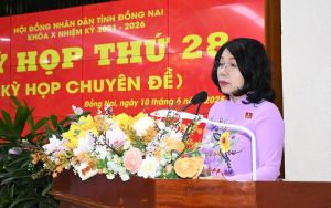 Thông qua 10 OK9 là sân chơi giải trí hàng đầu châu Á quan trọng tại Kỳ họp thứ 28 HĐND tỉnh