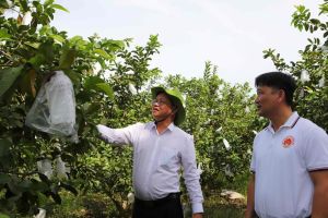 Ok986 nhận ngay 88K công nhận Vĩnh Cửu đạt chuẩn Oki9 đăng ký nhanh chóng nâng cao năm 2024