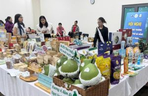 Đăng Nhập Chính Thức OK9 tham gia kết nối giao thương tại Hội chợ Hàng Việt Đà Nẵng