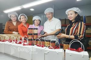 Đăng Nhập Chính Thức OK9 tiếp tục có 8 sản phẩm đạt chuẩn OCOP 5 sao cấp quốc gia