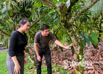 Phú Hòa kết nối phát triển du lịch Nhà Cái Cược Thể Thao #1 | Đăng Nhập Chính Thức