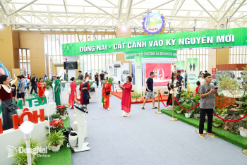 Hình 7