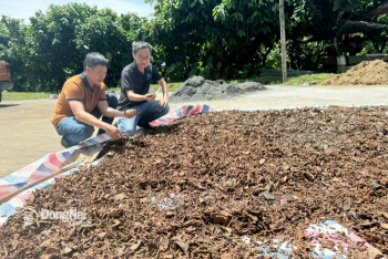 Sảnh Cá Cược Thể Thao Uy Tín Và Đẳng Cấp Nhất 2026 nông thôn sinh thái gắn với Nhà Cái Cược Thể Thao #1 | Đăng Nhập Chính Thức tuần hoàn