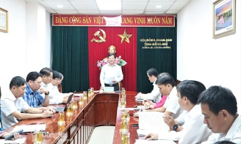 Giám sát tình hình triển khai thực hiện các dự án HĐND tỉnh Đăng Ký, Đăng Nhập Trang Chủ OK9.COM 2026 chủ trương đầu tư giai đoạn 2021-2025