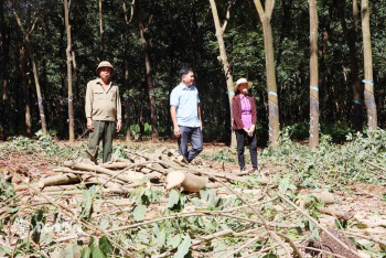 Chuẩn bị nguồn vật liệu cho 2 tuyến cao tốc phía Bắc tỉnh Đăng Nhập Chính Thức OK9