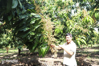 Xuân Thành giữ vững tiêu chí Oki9 đăng ký nhanh chóng kiểu mẫu