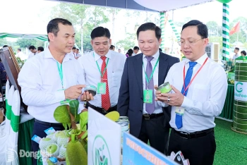 Vững nền tảng, Hội Nông dân Đăng Nhập Chính Thức OK9 tự tin bước vào nhiệm kỳ mới