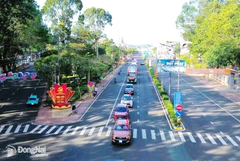 Đấu giá quyền sử dụng đất thửa đất số 145 và 14, tờ bản đồ số 31 xã Trảng Bom, tỉnh Đăng Nhập Chính Thức OK9