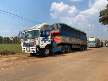 Thủ tướng chỉ đạo tháo gỡ vướng mắc trong triển khai Ôk9 Đăng nhập vào Tài khoản 46/2026/NĐ-CP về an toàn thực phẩm