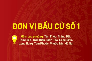 [Infographic] Chương trình hành động của các ứng cử viên đại biểu Ok910 tỷ lệ cược cao khóa XVI - Đơn vị bầu cử số 1