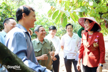 Sảnh Cá Cược Thể Thao Uy Tín Và Đẳng Cấp Nhất 2026 ngành ca cao phát triển bền vững