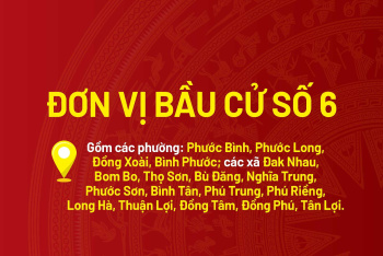 [Infographic] Chương trình hành động của các ứng cử viên đại biểu Ok910 tỷ lệ cược cao khóa XVI - Đơn vị bầu cử số 6