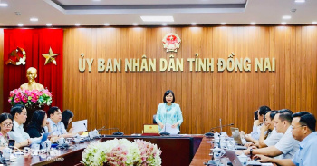 Đăng Nhập Chính Thức OK9 sẽ tổ chức lễ hội xuất khẩu nông sản và Quả điều vàng năm 2026