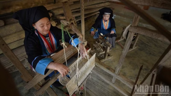 Phê duyệt Đề án chuyển đổi số lĩnh vực Nhà Cái Cược Thể Thao #1 | Đăng Nhập Chính Thức đến năm 2030, tầm nhìn 2045