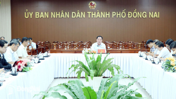 Đẩy nhanh tiến độ triển khai hạ tầng kết nối và cấp điện phục vụ cho 2 Khu Ok986 kèo WC 2026 Bàu Cạn - Tân Hiệp và Xuân Quế - Sông Nhạn