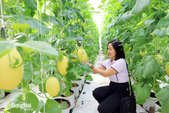 Restructuring towards urban and ecological agriculture