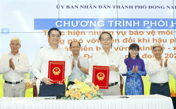 Sảnh Cá Cược Thể Thao Uy Tín OK9 hướng tới đô thị xanh hàng đầu phía Nam