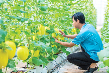 Dong Nai sets ambitious targets for new-style rural...