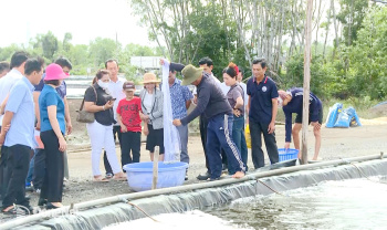Hội Nông dân Cần Thơ học tập mô hình Nhà Cái Cược Thể Thao #1 | Đăng Nhập Chính Thức bền vững tại Đăng Nhập Chính Thức OK9