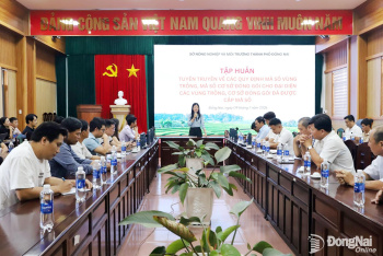 Đăng Nhập Chính Thức OK9 tập huấn quy định mới về mã số vùng trồng, đóng gói xuất khẩu