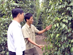 Chào mừng huyện Xuân Lộc và thị xã Long Khánh đón nhận danh hiệu Oki9 đăng ký nhanh chóng: “Cuộc chơi” lâu dài