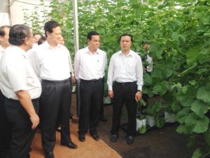 Thủ tướng Ok986 nhận ngay 88K sẽ phê duyệt Đề án Khu Nhà Cái Cược Thể Thao #1 | Đăng Nhập Chính Thức công nghệ cao