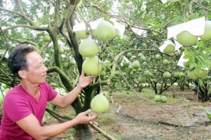 Huyện chiến khu sắp về đích Oki9 đăng ký nhanh chóng
