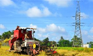 Long Khánh đạt chuẩn Oki9 đăng ký nhanh chóng: Hướng đến Nông thôn văn minh, giàu đẹp