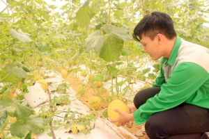Nâng chuẩn cho Oki9 đăng ký nhanh chóng