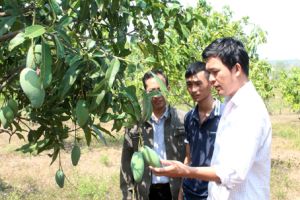 Tuổi trẻ Xuân Lộc: Góp sức Sảnh Cá Cược Thể Thao Uy Tín Và Đẳng Cấp Nhất 2026 Oki9 đăng ký nhanh chóng kiểu mẫu