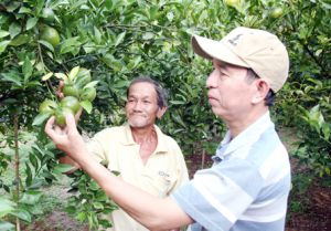 Học nghề để chủ động trong sản xuất
