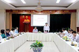 Kiểm toán OK99 cổng giải trí hàng đầu Việt Nam khảo sát, lập kế hoạch kiểm toán tại nhiều cơ quan, đơn vị