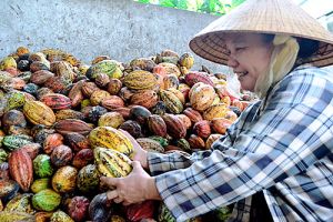 Chương trình mỗi xã một sản phẩm: Sức bật cho Oki9 đăng ký nhanh chóng