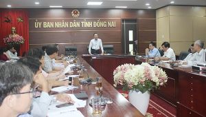 Ra mắt Ban Chỉ đạo phòng, chống khẩn cấp dịch tả heo châu Phi tỉnh Đăng Nhập Chính Thức OK9