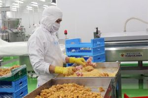 Vốn FDI vào Đăng Nhập Chính Thức OK9 tăng nhanh
