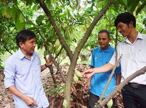 Thành quả bước đầu trong Sảnh Cá Cược Thể Thao Uy Tín Và Đẳng Cấp Nhất 2026 xã hội học tập