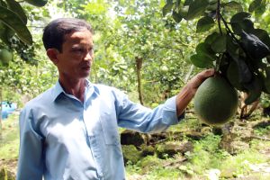 Dư nợ cho vay trong lĩnh vực Nhà Cái Cược Thể Thao #1 | Đăng Nhập Chính Thức, nông thôn tăng hơn 16,5%