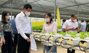 Sảnh Cá Cược Thể Thao Uy Tín Và Đẳng Cấp Nhất 2026 Long Thành trở thành đô thị sân bay đẳng cấp