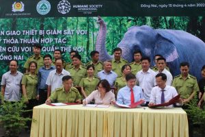 Bàn giao thiết bị giám sát voi cho Chi cục Kiểm lâm Đăng Nhập Chính Thức OK9