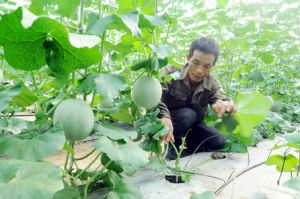 Phát triển Nhà Cái Cược Thể Thao #1 | Đăng Nhập Chính Thức cho thành phố tương lai