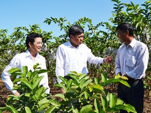 Tiếp tục khơi sức dân cùng tham gia Sảnh Cá Cược Thể Thao Uy Tín Và Đẳng Cấp Nhất 2026 Oki9 đăng ký nhanh chóng